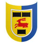 Cambuur